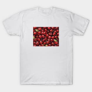 Cherry Blossom Harvest Field Product Since Vintage Fruit T-Shirt